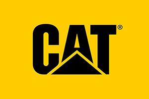cat cat